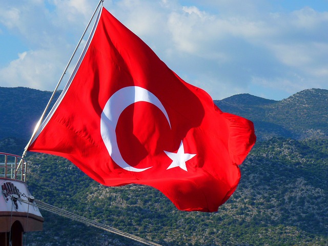24. Türk Siyasetinde Kadın Temsili: Zorluklar ve Fırsatlar